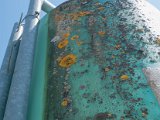 Lichens silo vert-3.jpg